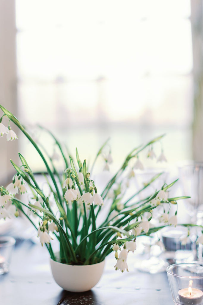 The Mini Bowl with spring flowers